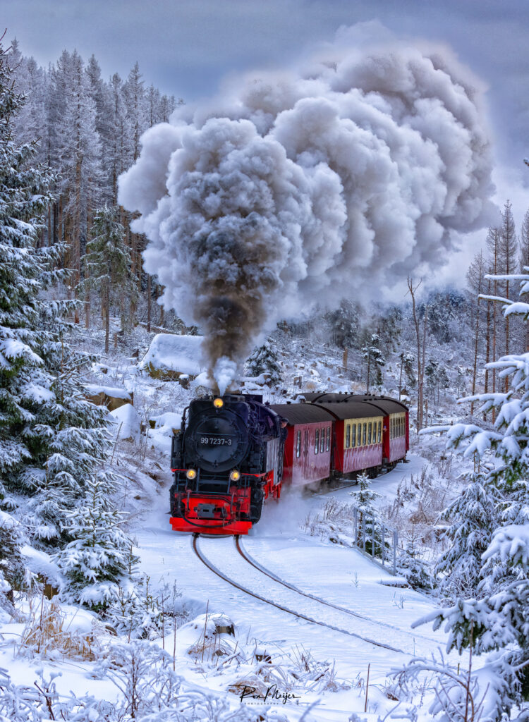 Steam train Harz
